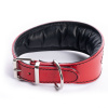 DG Luxury collar BRIGHT RED