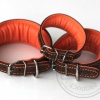 DG Luxury Halsband COLOUR ORANGE