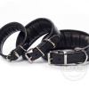 DG Luxury collar BLACK