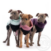 DG IG PUPPY FLEECE TOP START