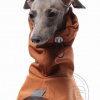 DG BASIC RAINCOAT - "DARK CINNAMON"