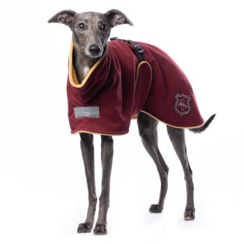 DG BASIC PLUS JACKET "BORDEAUX" LIMITED