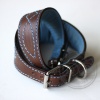 DG Luxury Halsband COLOUR BLUE