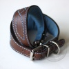 DG Luxury collar COLOUR BLUE