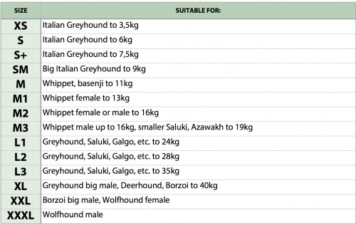 Dg Size Chart