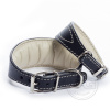 DG Luxury collar ELEGANT