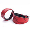 DG Luxury collar BRIGHT RED