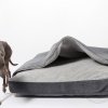 DG Sleeping bed LOUNGE 2022