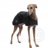 DG BASIC JACKE 