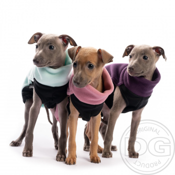 DG IG PUPPY FLEECE TOP START