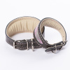 DG Exclusive collar ZEN GARDEN PINK