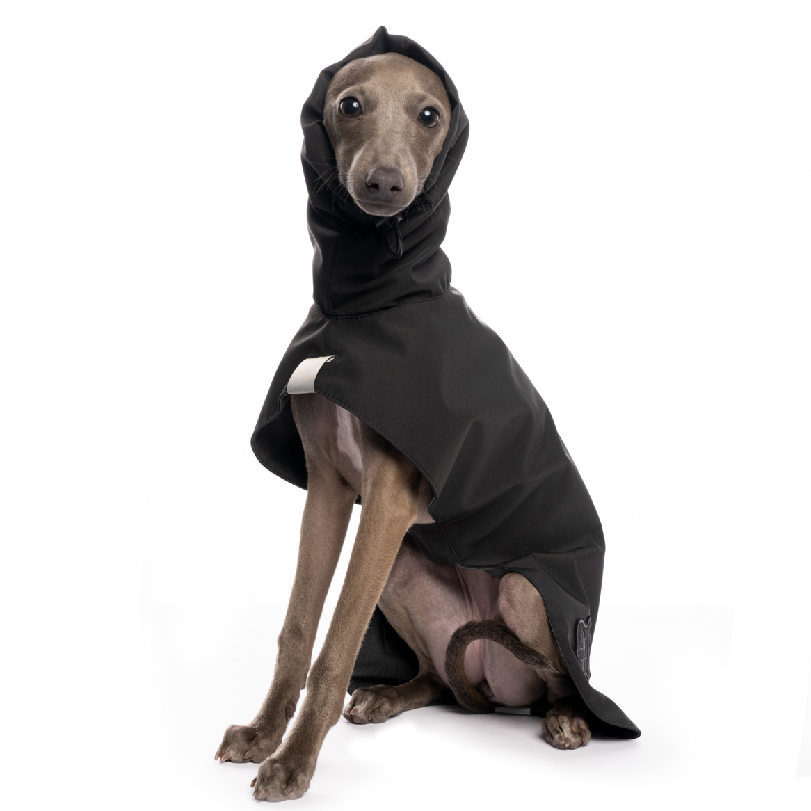 DG BASIC RAINCOAT LIGHT 2023 - "BLACK - Obrázek 2