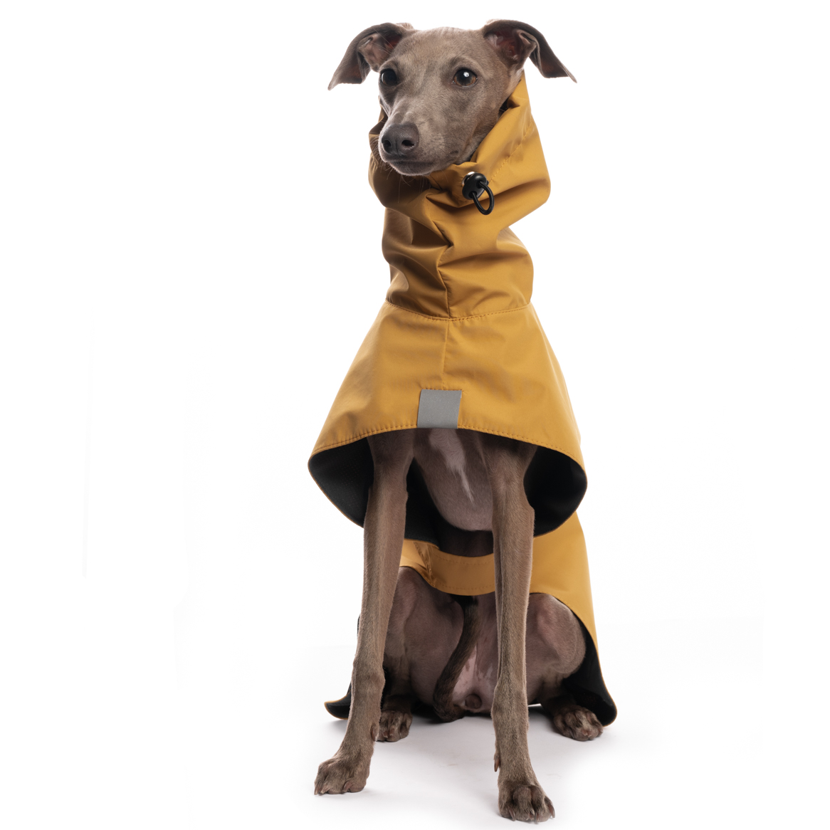 DG BASIC RAINCOAT LIGHT "CAMEL - Obrázek 2