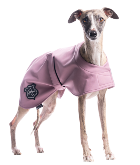DG BASIC BLANKET “ASH ROSE”