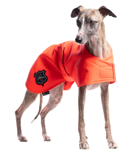 DG BASIC BLANKET “NEON RED”