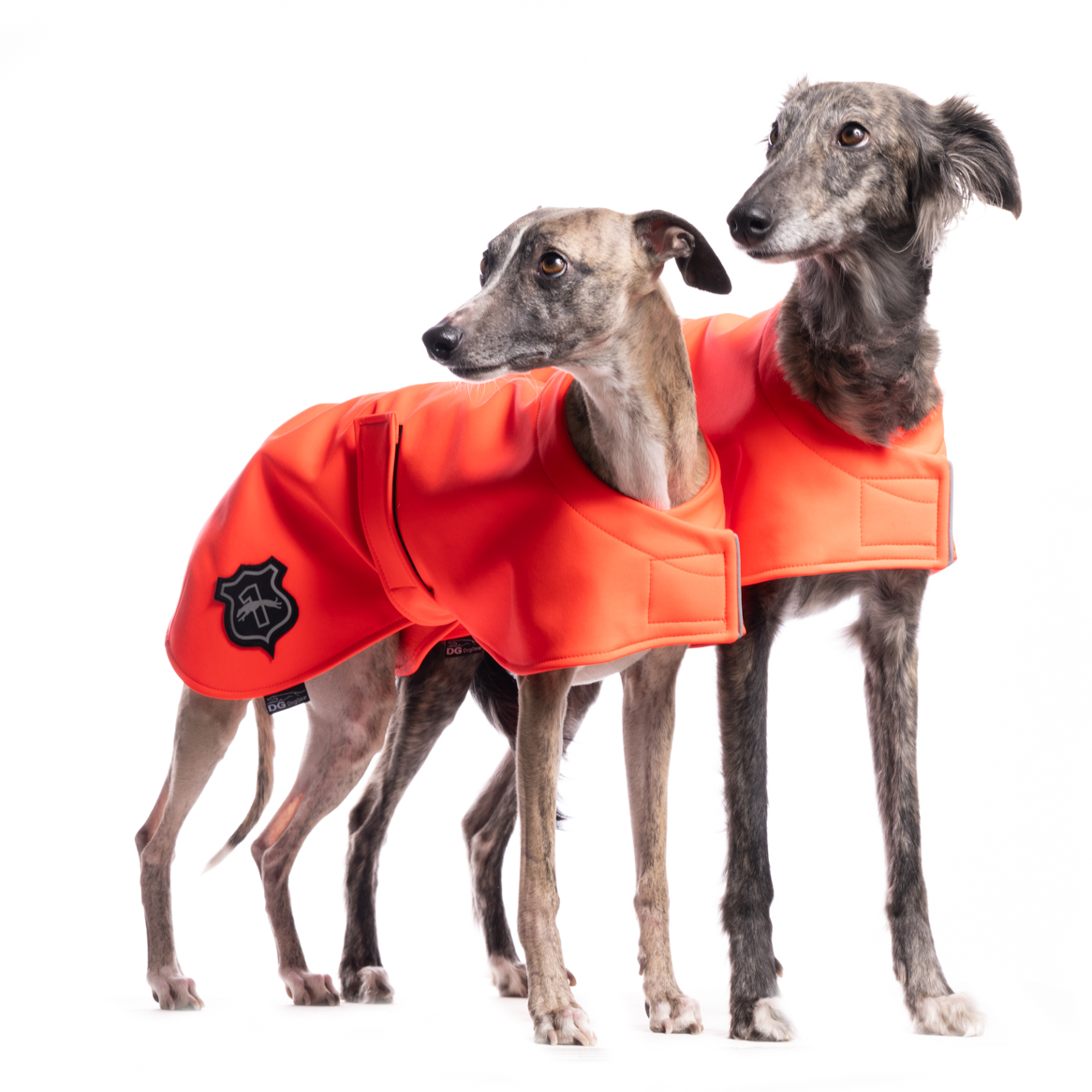 DG BASIC BLANKET "NEON RED" - Image 2