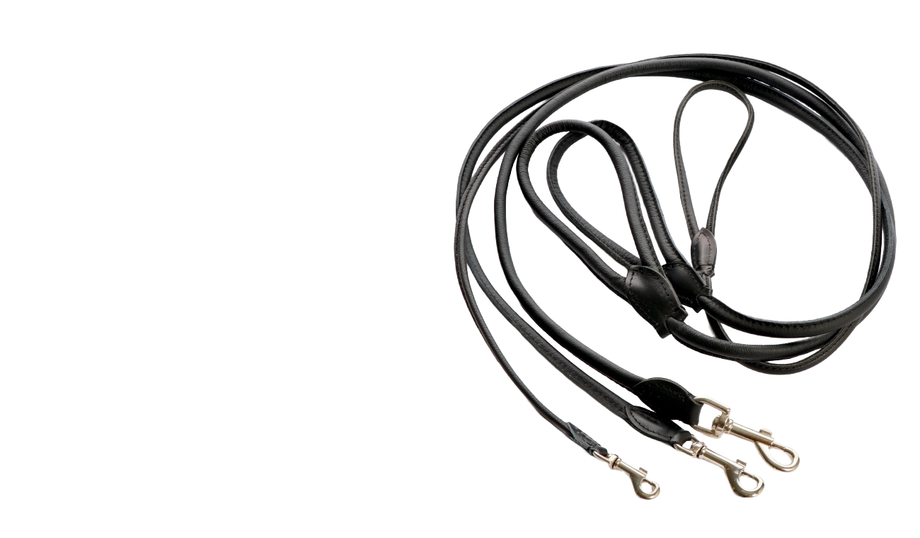 LEASHES