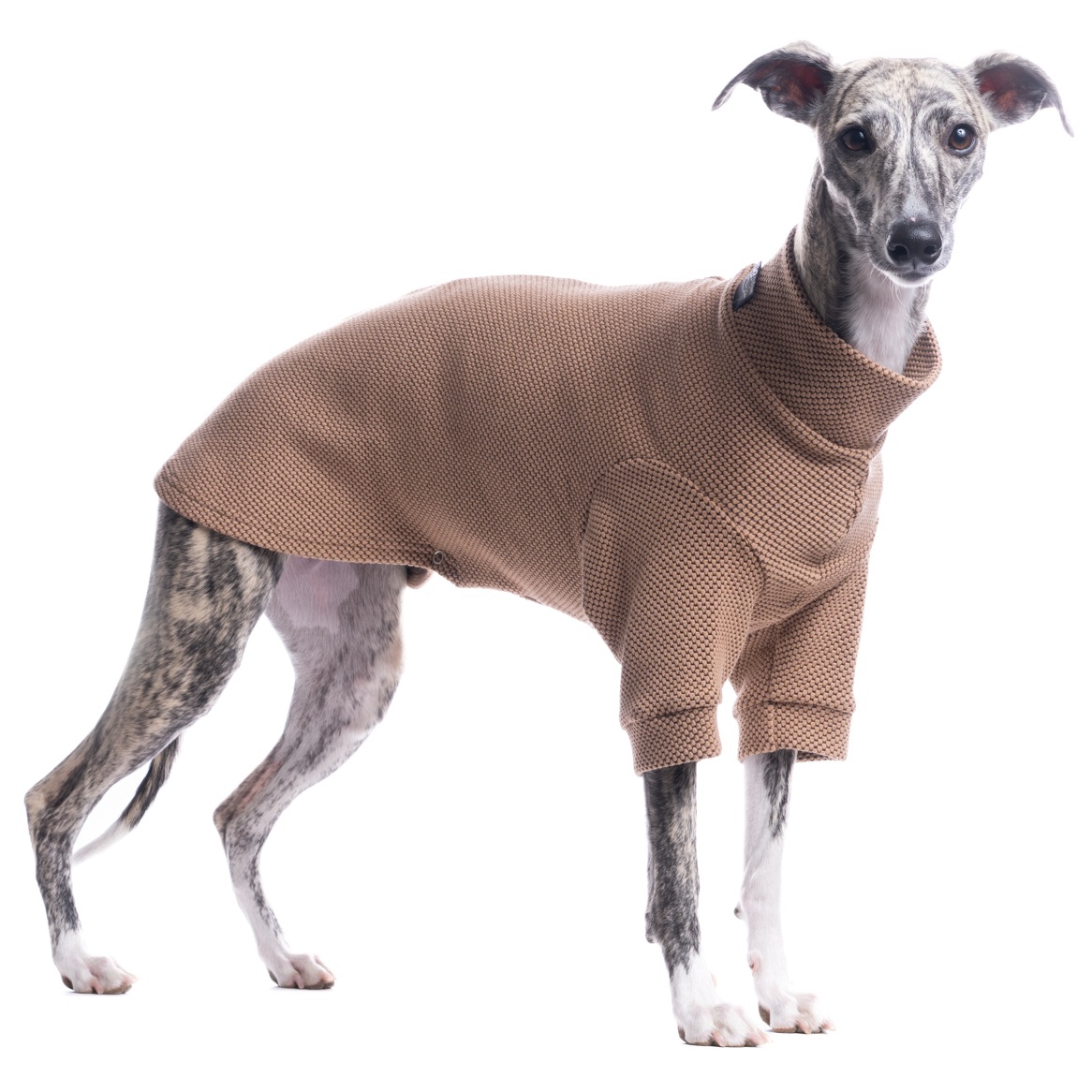 DG URBAN WINTER "TIGERS EYE" - Image 2