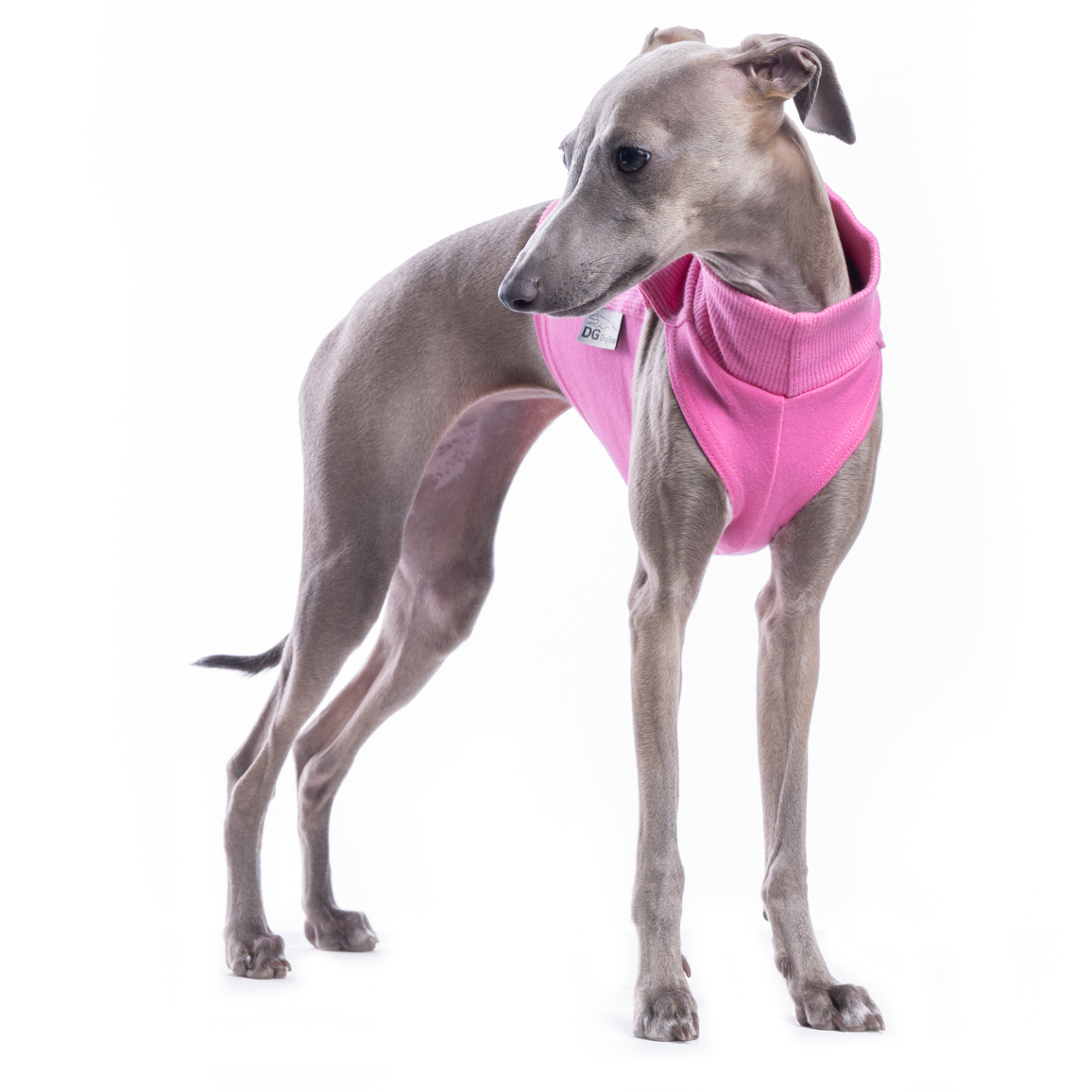 DG COTTON UNDERWEAR COSMOS PINK - Image 2