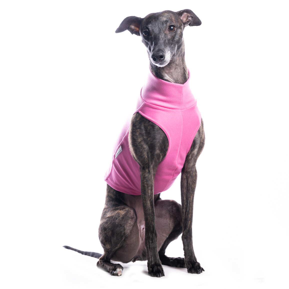 DG COTTON UNDERWEAR COSMOS PINK - Image 3