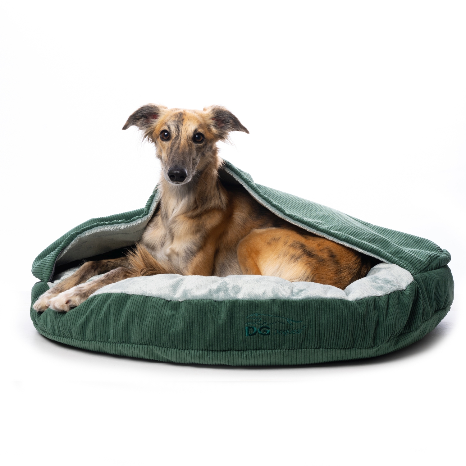 DG COMFY CAVE dog bed CLASSIC "Galapagos Green" - Image 2