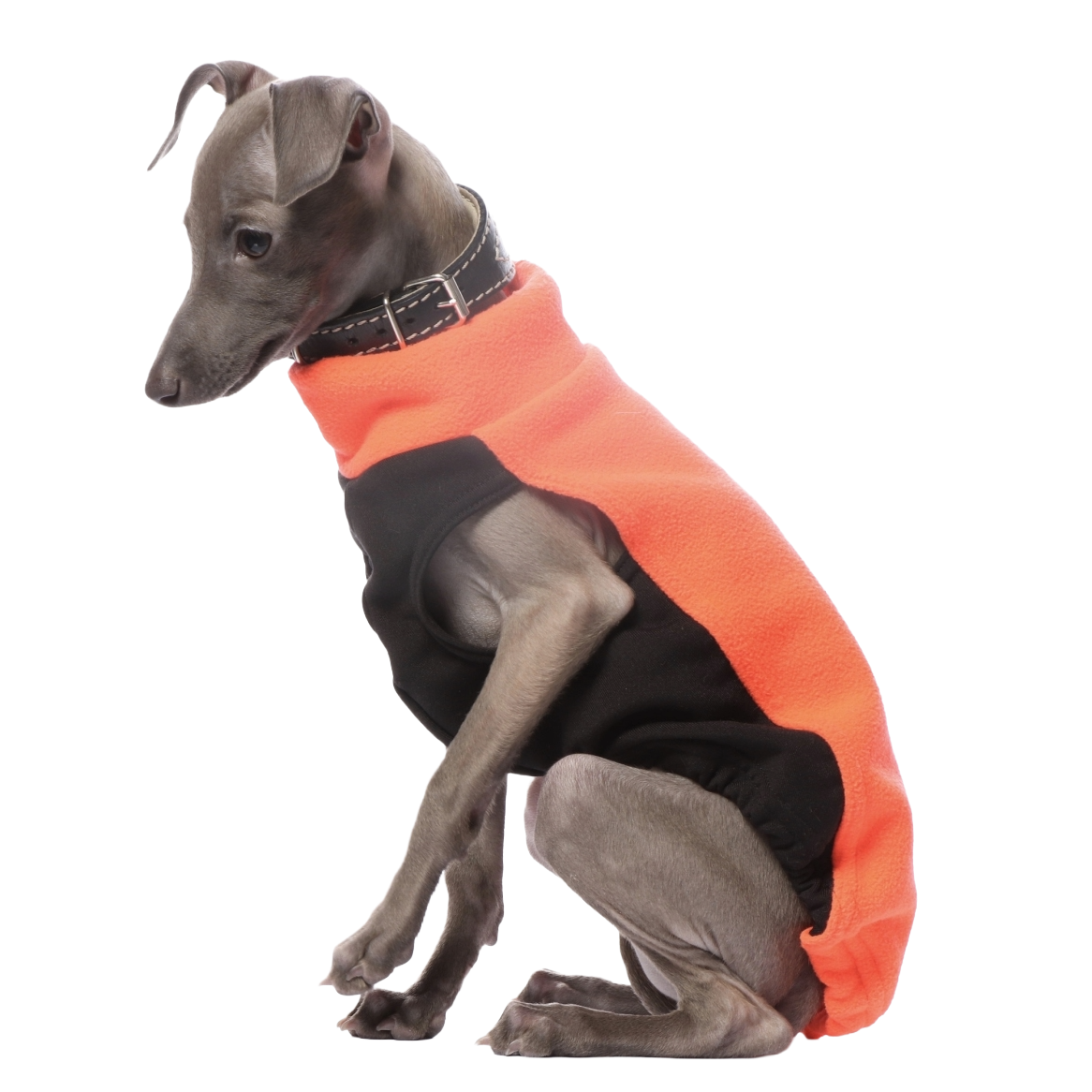 DG IG PUPPY TOP "NEON ORANGE