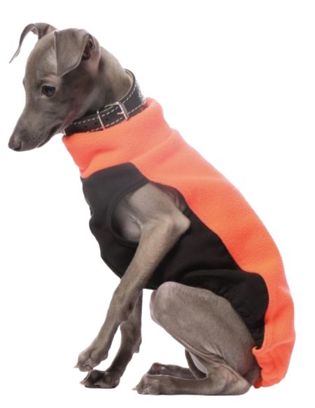 DG IG PUPPY TOP “NEON ORANGE”