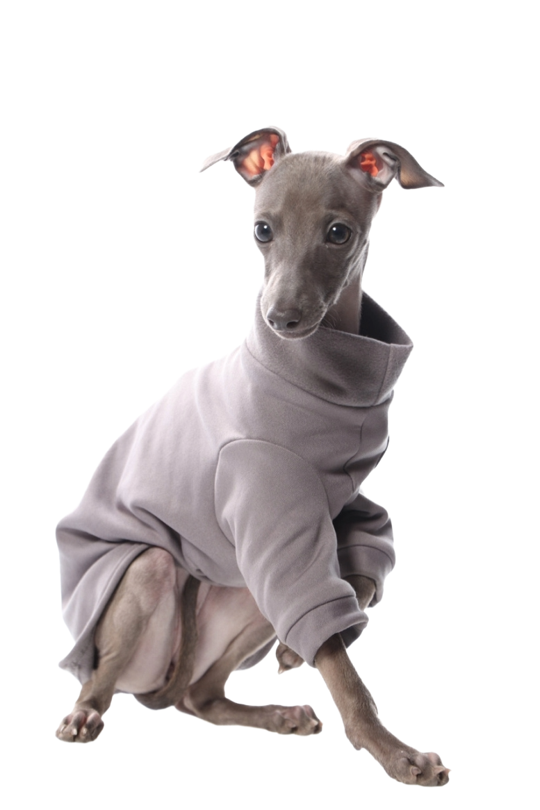 DG IG PUPPY SWEATHIRT "GREY"