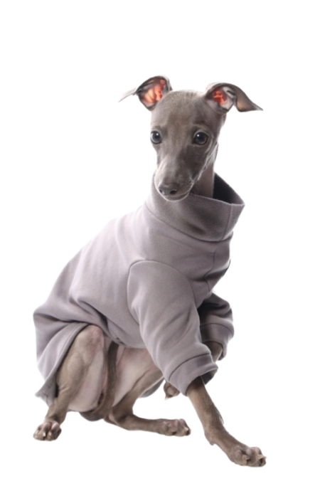 DG IG PUPPY SWEATHIRT “GREY”