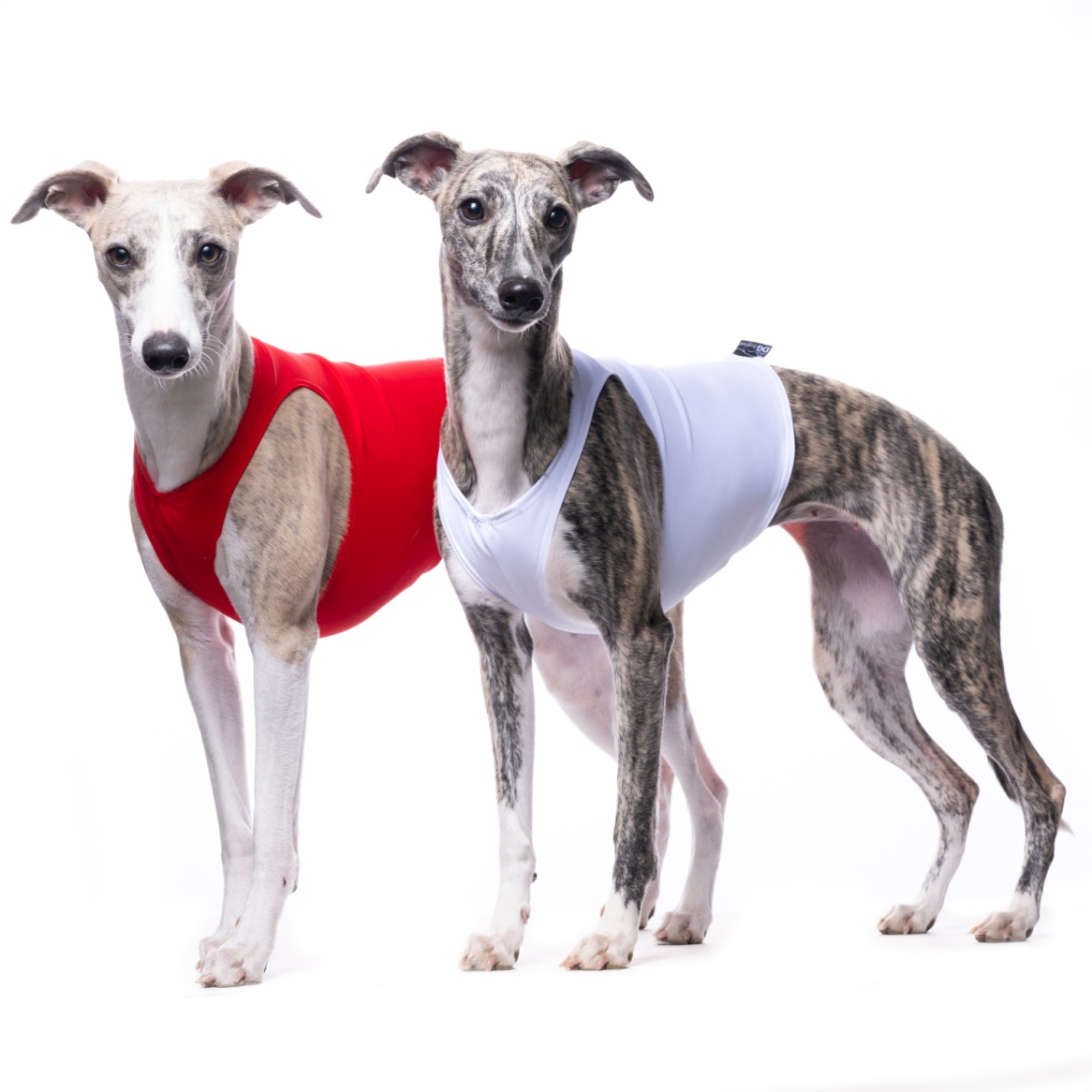 DG SET OF COURSING SHIRTS "ENDURANCE" SET OF 2 PCS