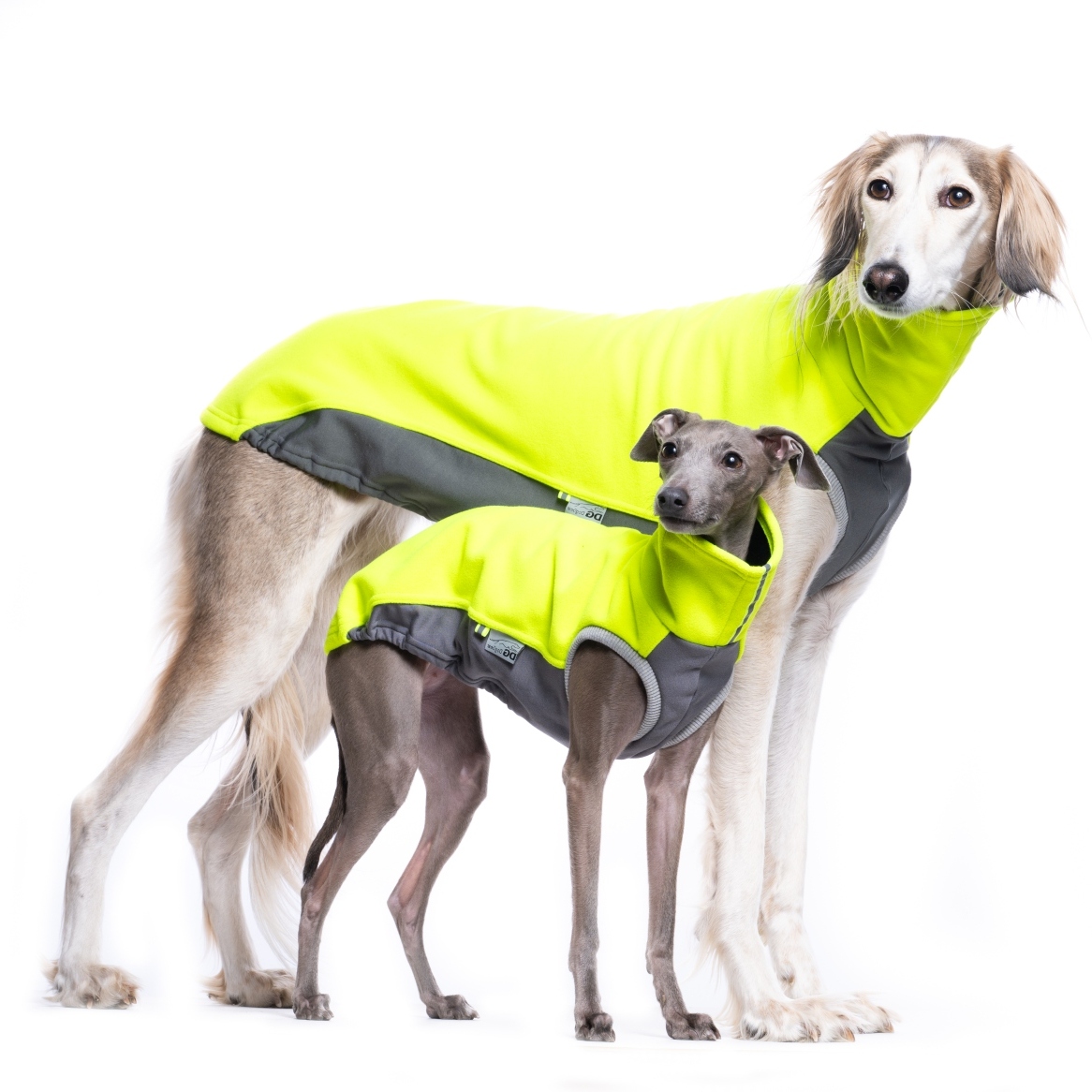 DG LIMITED JUMPER "NEON YELLOW