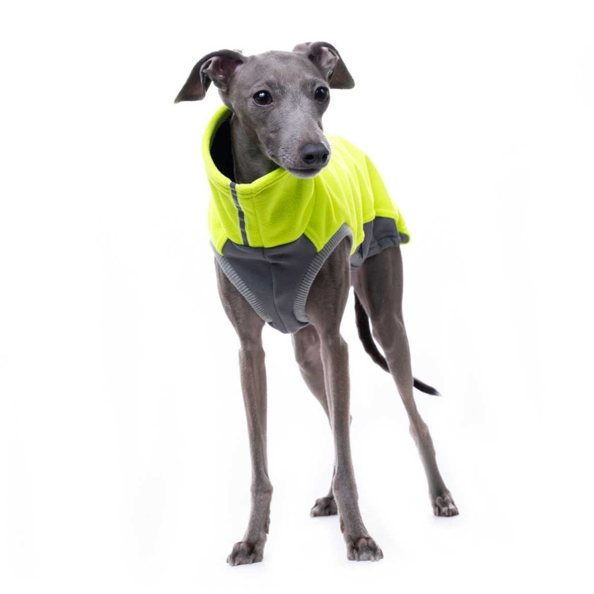 DG LIMITED JUMPER "NEON YELLOW - Obrázek 2