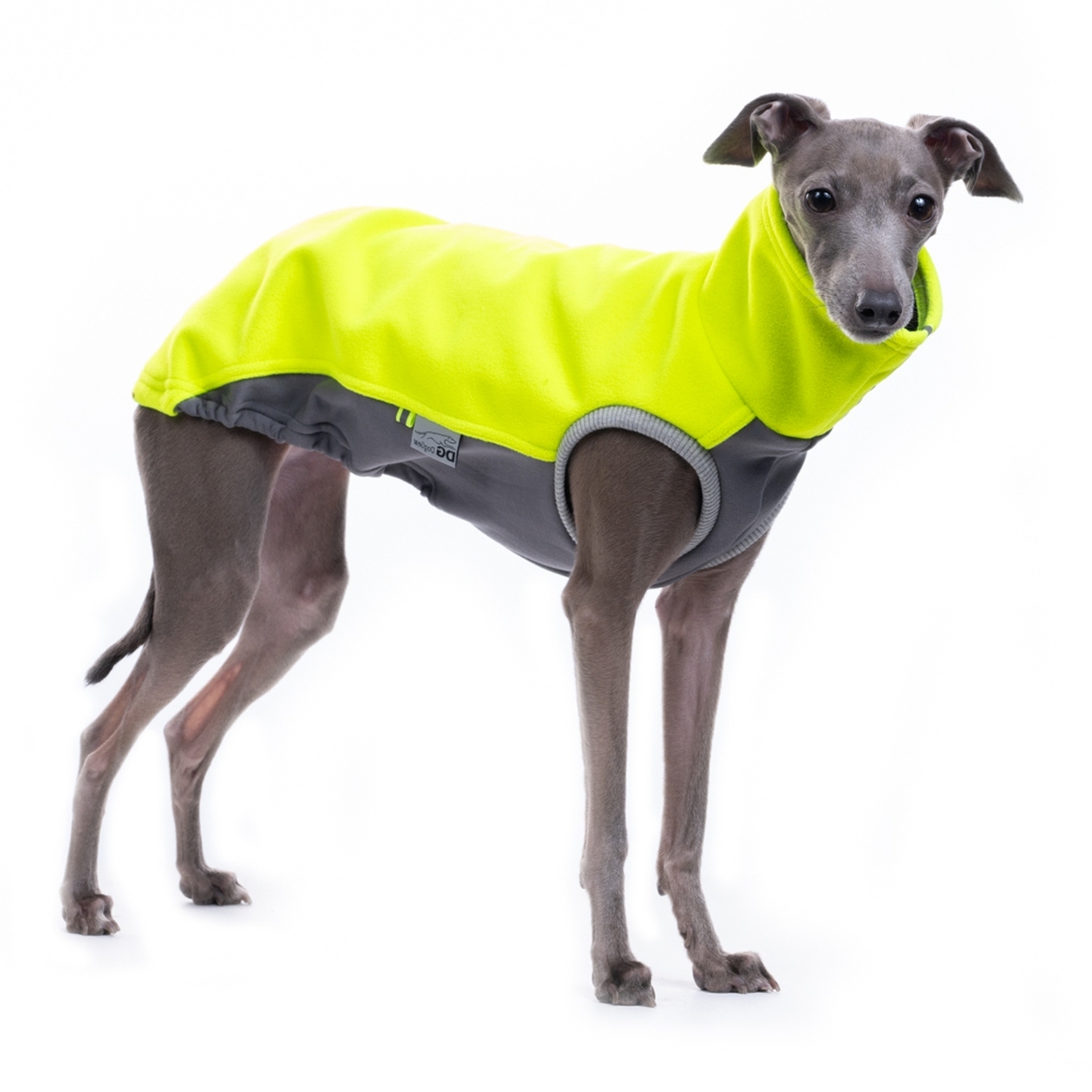 DG LIMITED JUMPER "NEON YELLOW - Obrázek 3