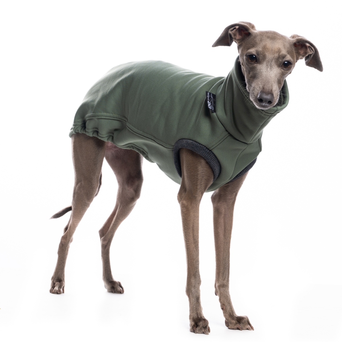 DG URBAN JUMPER "SILVER PINE