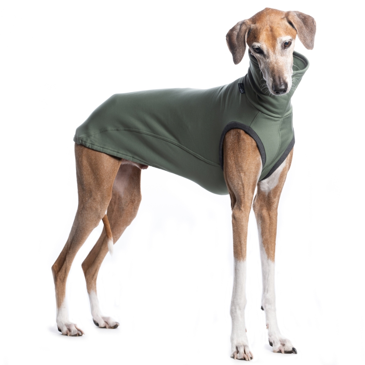 DG URBAN JUMPER "SILVER PINE – Bild 2