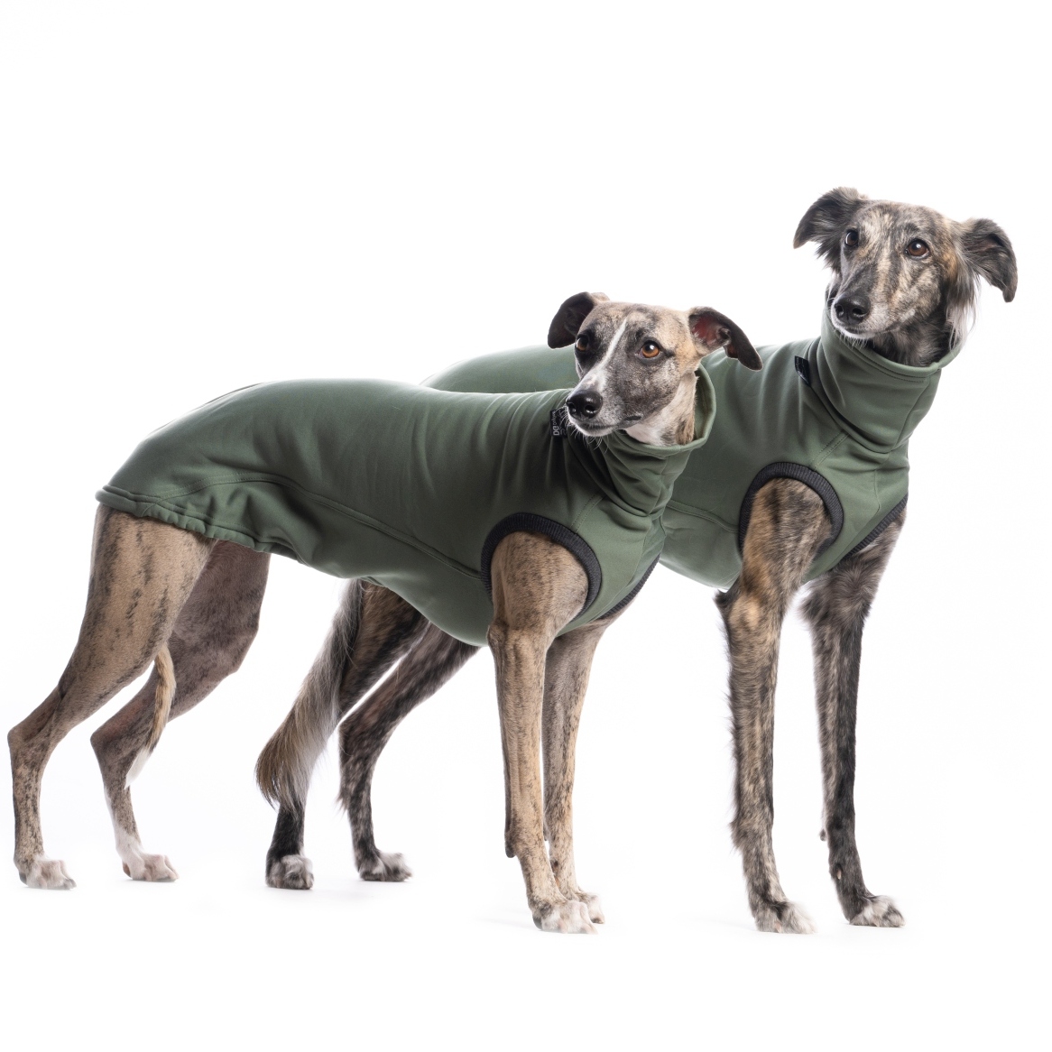 DG URBAN JUMPER "SILVER PINE – Bild 3