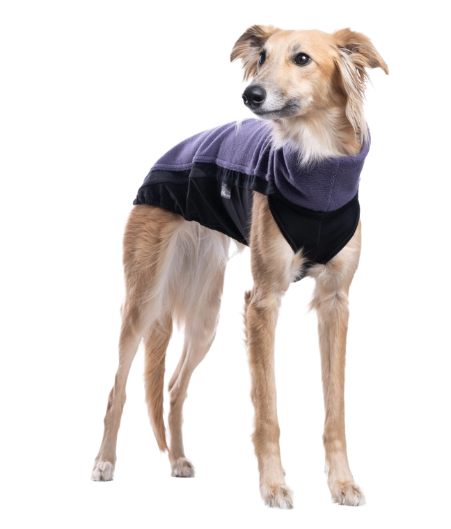 dgdoggear-doggear-outdoor-