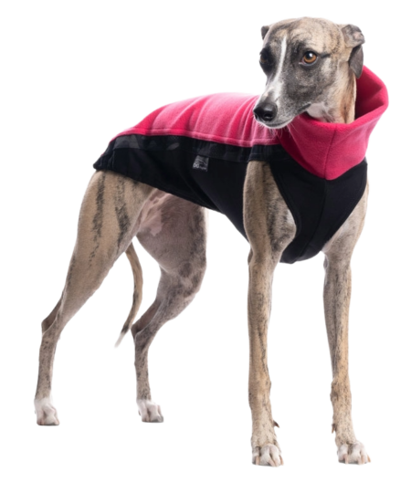 DG OUTDOOR TOP FLEECE „BRIGHT ROSE