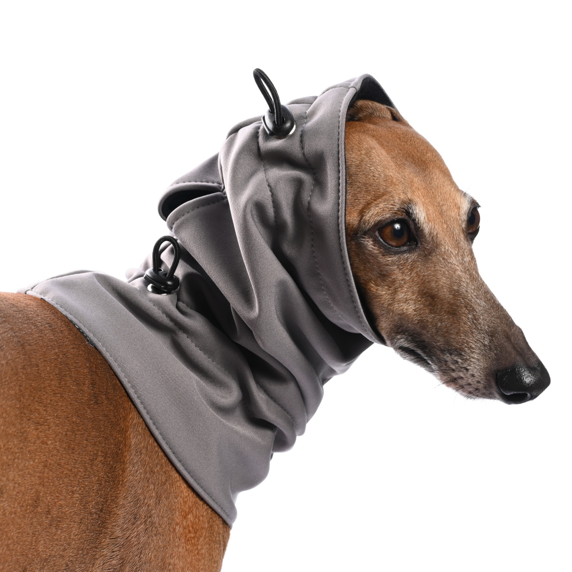 DG SOFT SHELL SNOODS "GREY" - Image 3