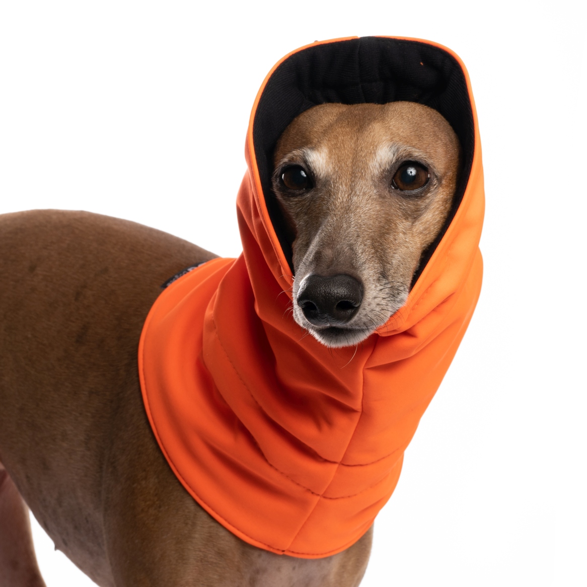 DG SOFT SHELL NÁVLEK "NEON ORANGE - Obrázek 2