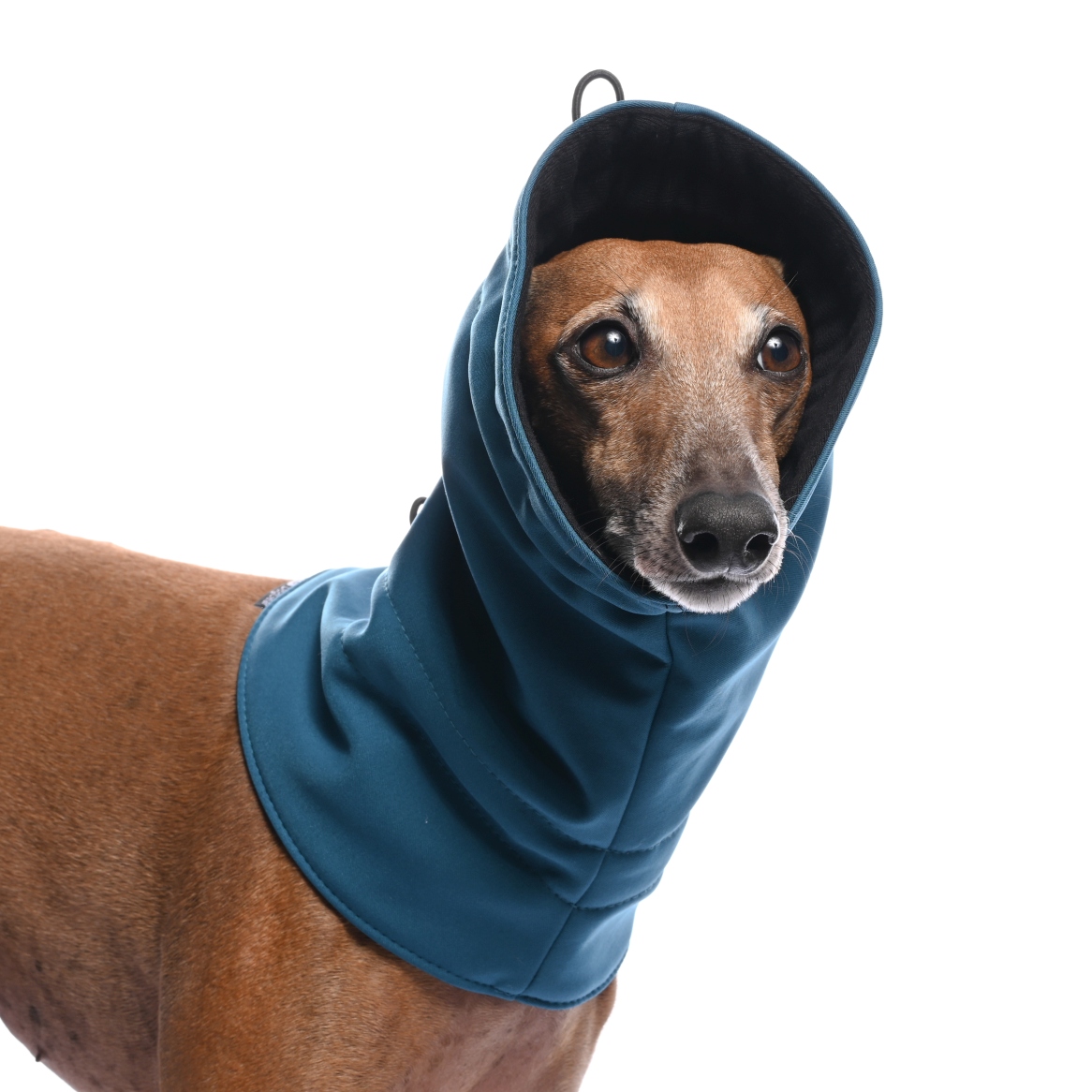 DG SOFT SHELL SCHAL "DARK TURQUOISE – Bild 2