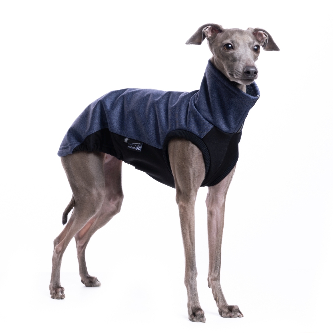 DG URBAN SOFT SHELL JUMPER "CROWN BLUE