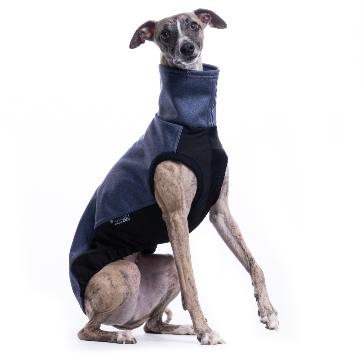 DG URBAN SOFT SHELL JUMPER "CROWN BLUE - Obrázek 2