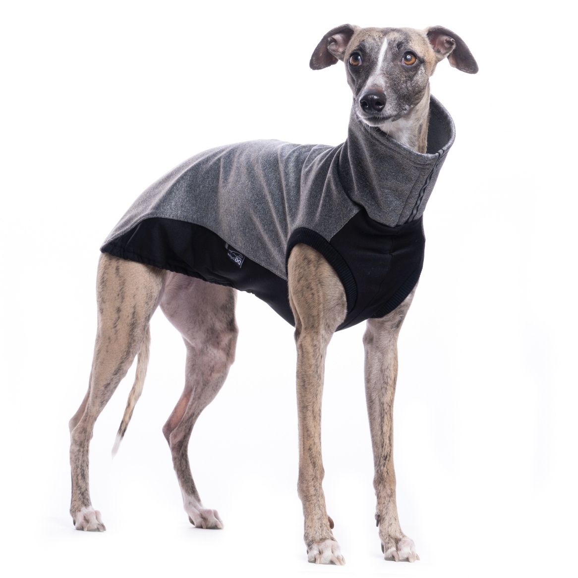DG URBAN SOFT SHELL JUMPER "NIGHT OWL