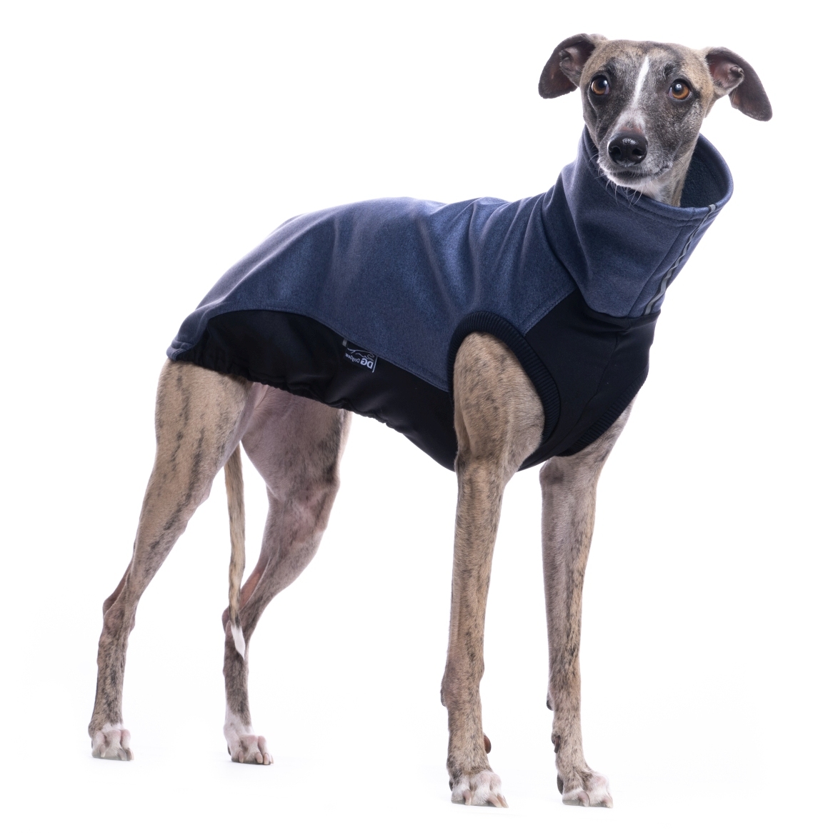 DG URBAN SOFT SHELL JUMPER "CROWN BLUE - Obrázek 3