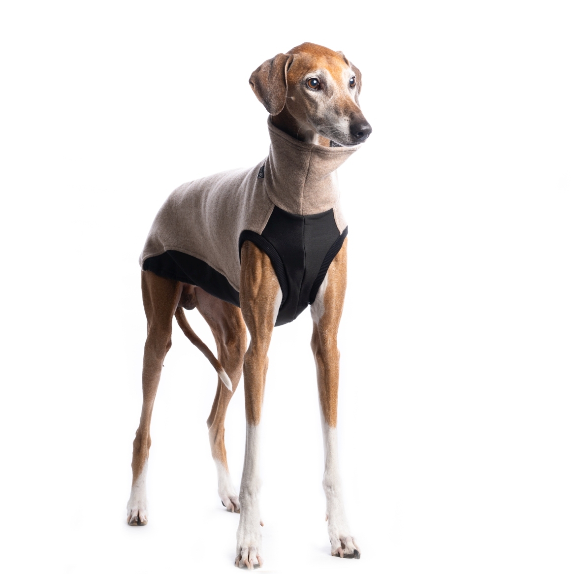 DG OUTDOOR JUMPER "BEIGE" - Image 4