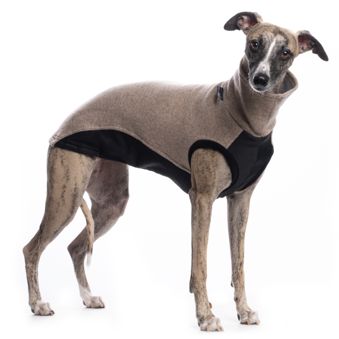 DG OUTDOOR JUMPER "BEIGE" - Image 5