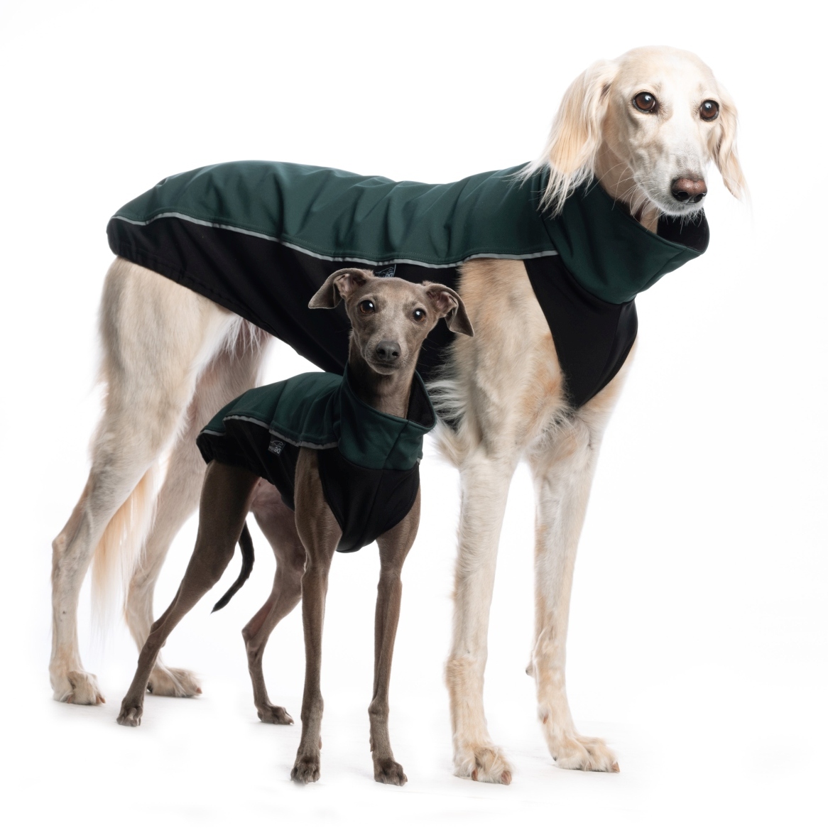 DG OUTDOOR TOP SOFT SHELL "SEA MOSS