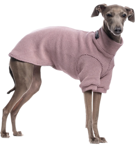 DG URBAN WINTER “KEEPSAKE LILAC”