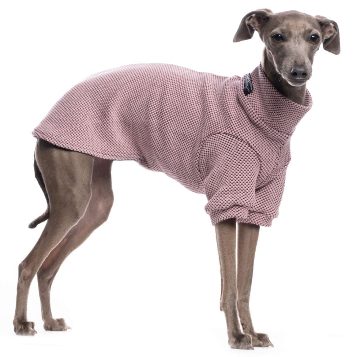 DG URBAN WINTER "KEEPSAKE LILAC